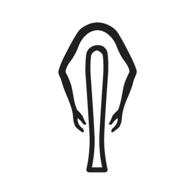 D31 — hiéroglyphe