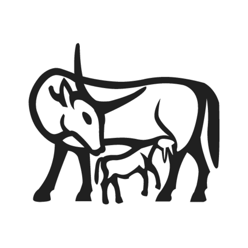E5 — vache allaitant