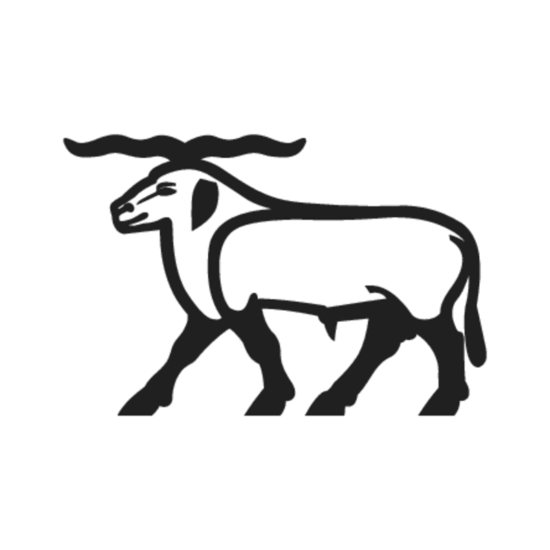E11 — pour E10