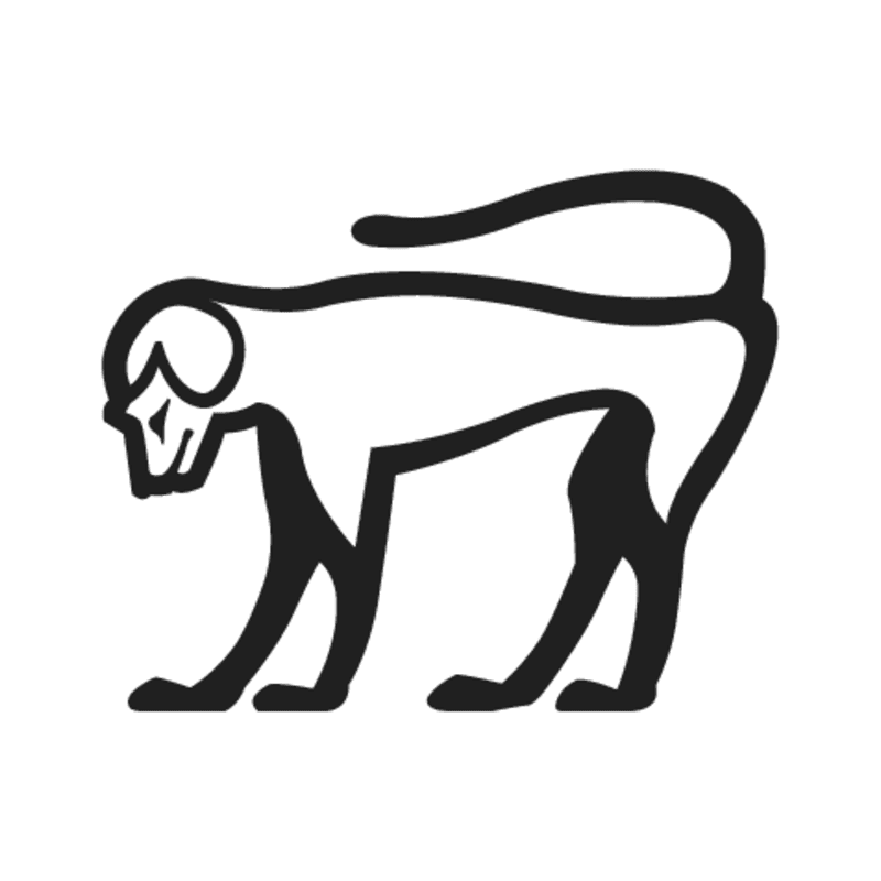 E33 — Cercopithèque