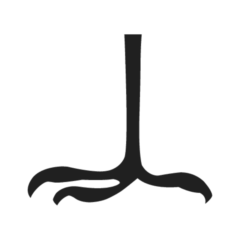 H7 — Serre d'oiseau de proie