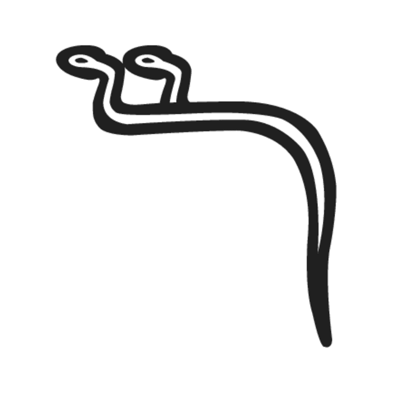 I11 — Deux Cobras