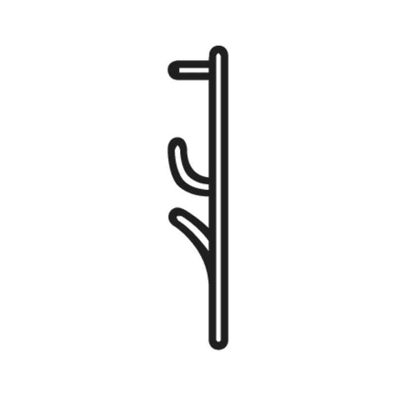 T20 —