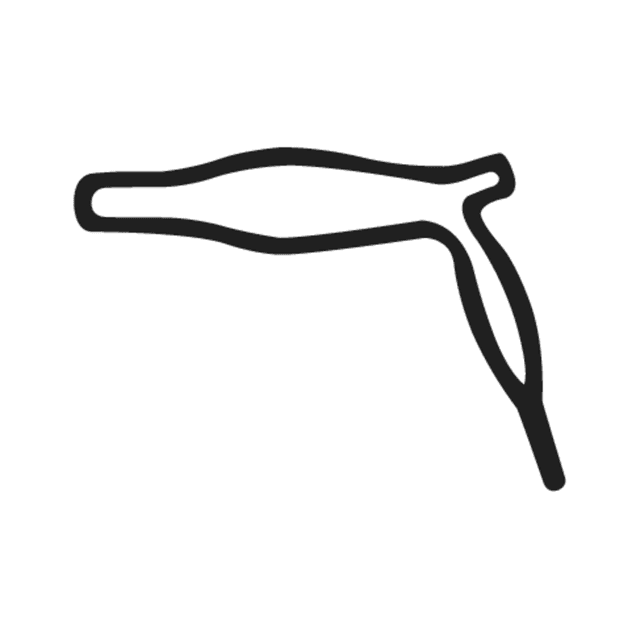 V23 — hiéroglyphe