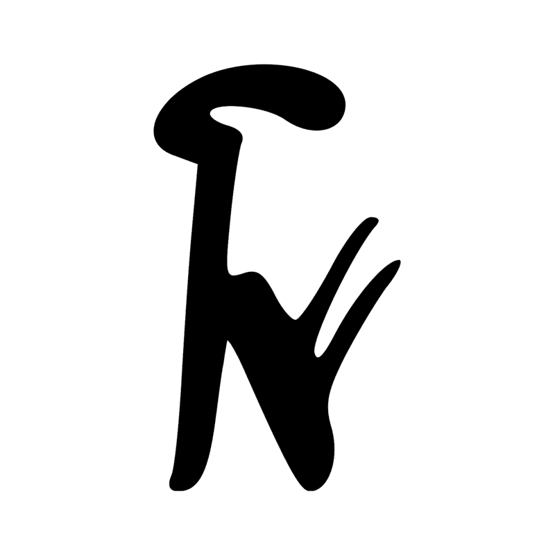 T19 — Tête de harpon en os
