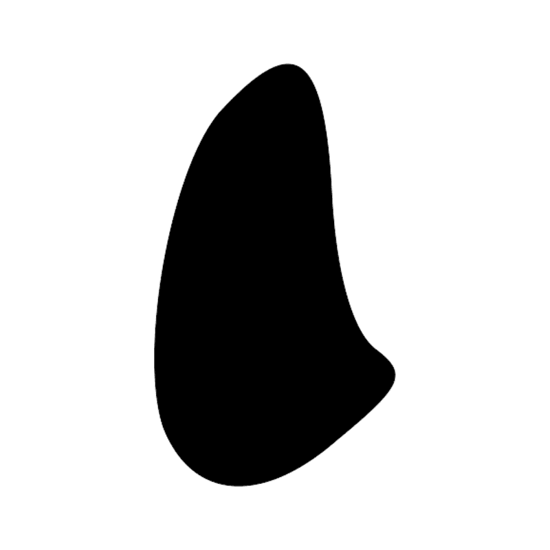 Z1 — Trait