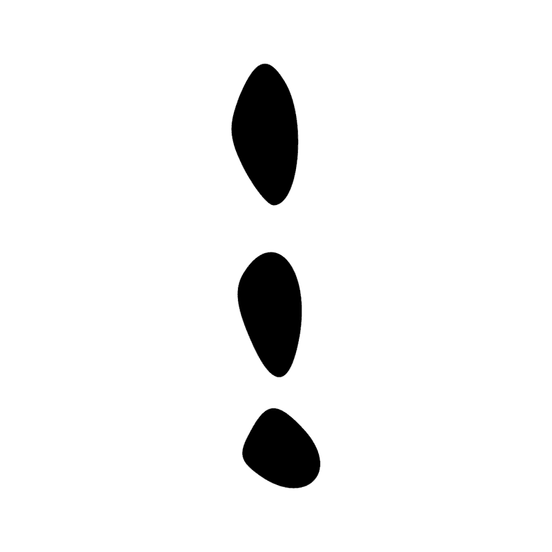 Z3