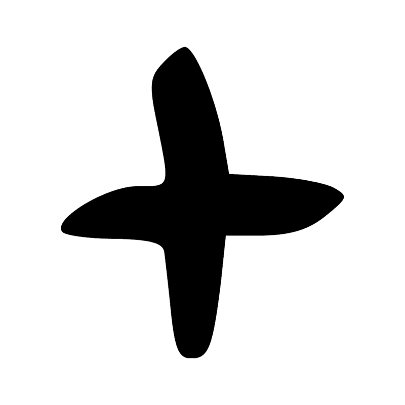 Z11 — Deux planches entrecroisées