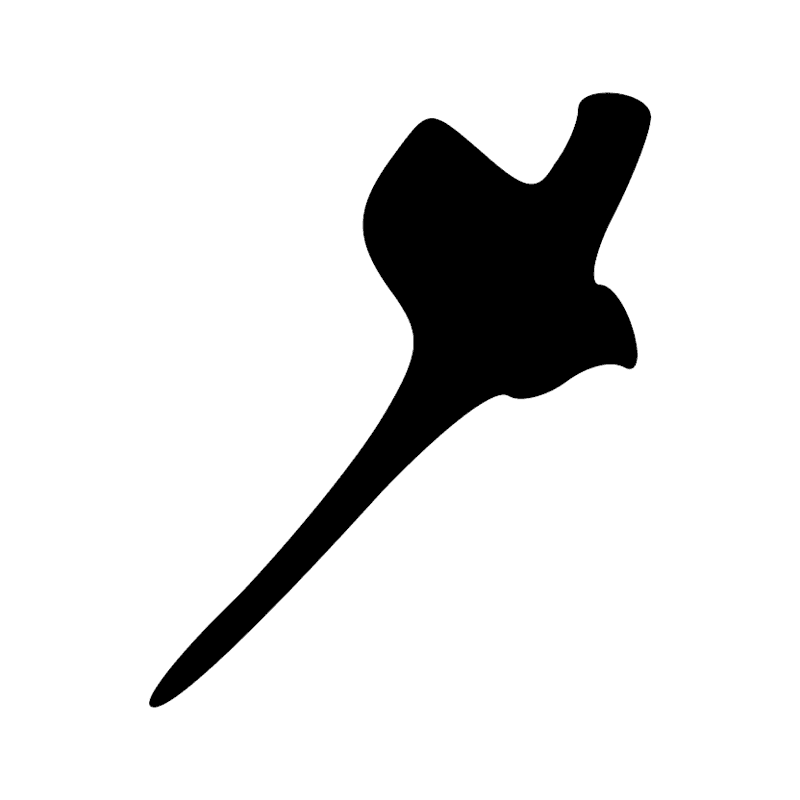 Z9 — Deux batons entrecroisés