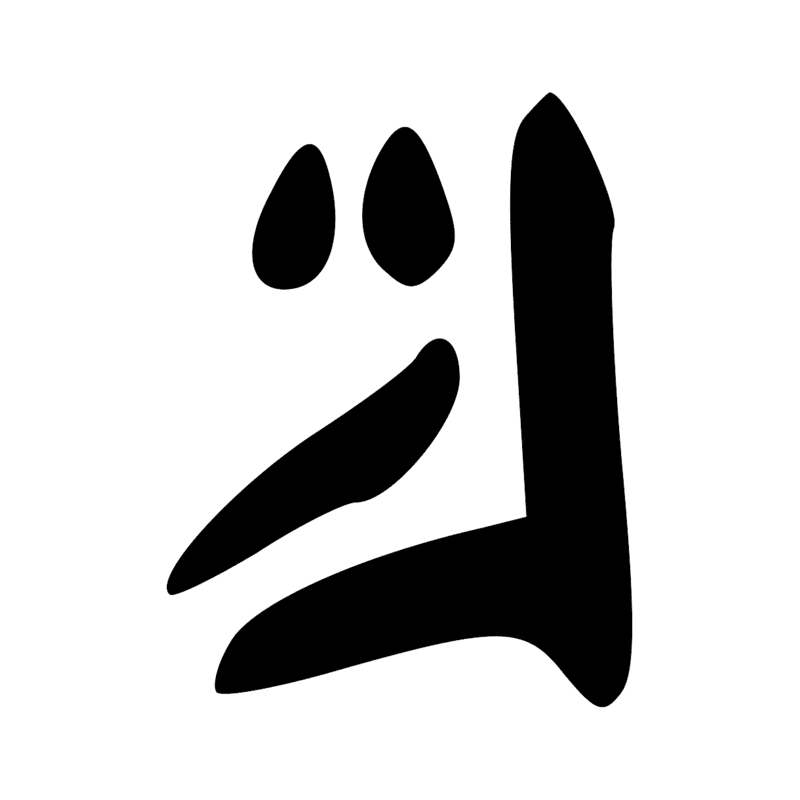 V11 — Section de cartouche