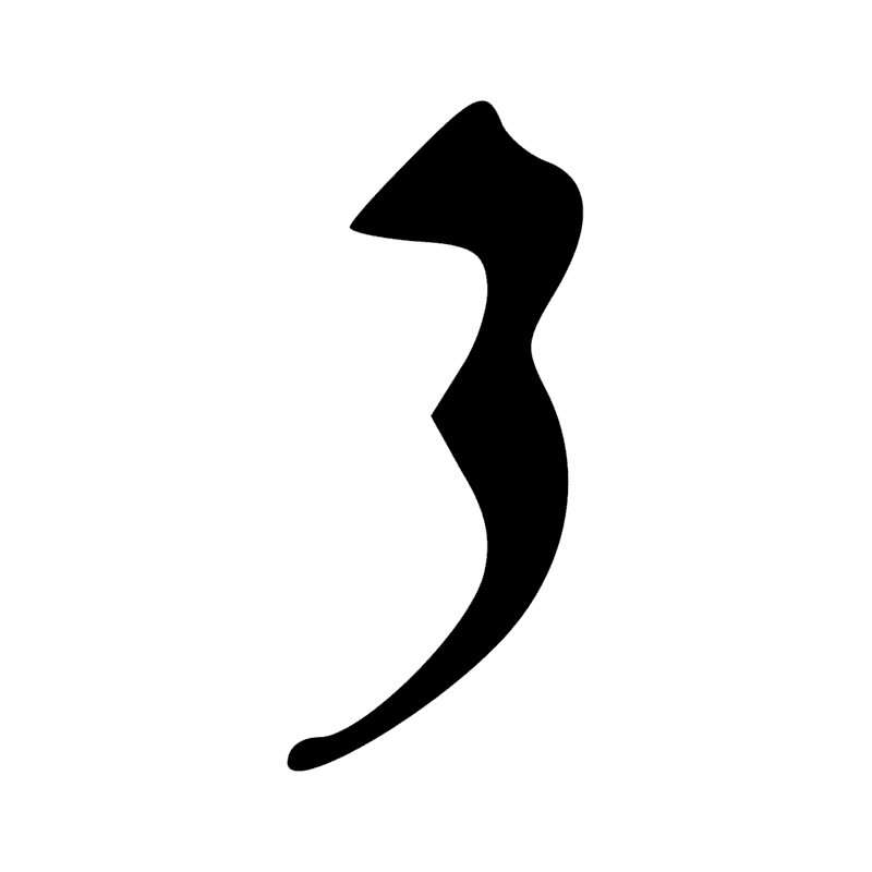 T34 — Couteau de boucher