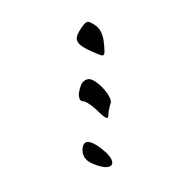 Signe n° 1121