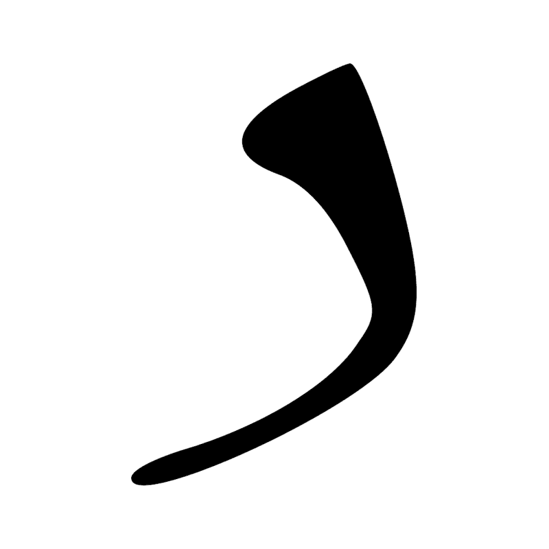 D21 X1