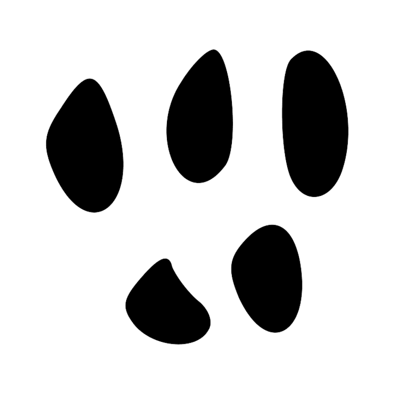 Signe n° 11589