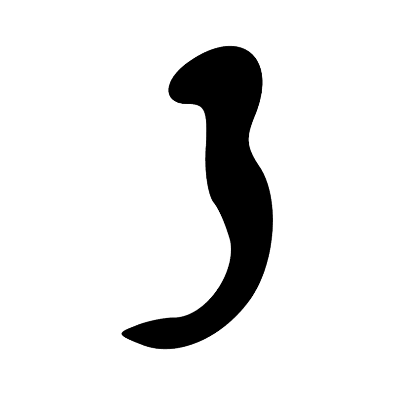 Signe n° 11946