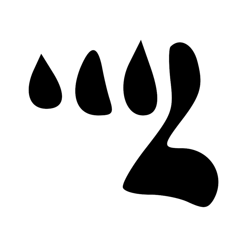Signe n° 11949