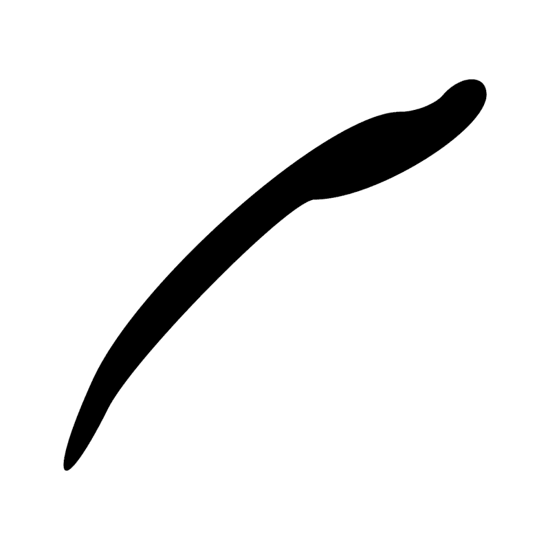 F16 — Corne