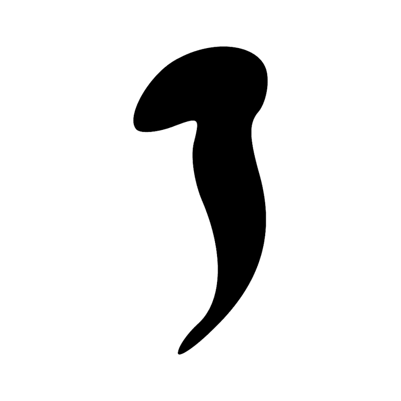 D15 — Partie de l'oeil Oudjar