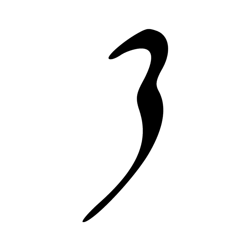 D15 — Partie de l'oeil Oudjar