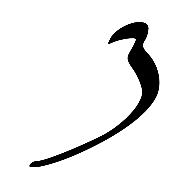 D15 — Partie de l'oeil Oudjar