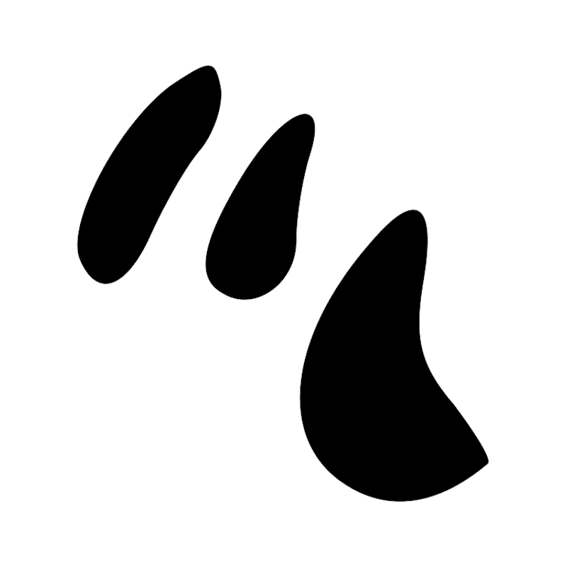 Signe n° 12035
