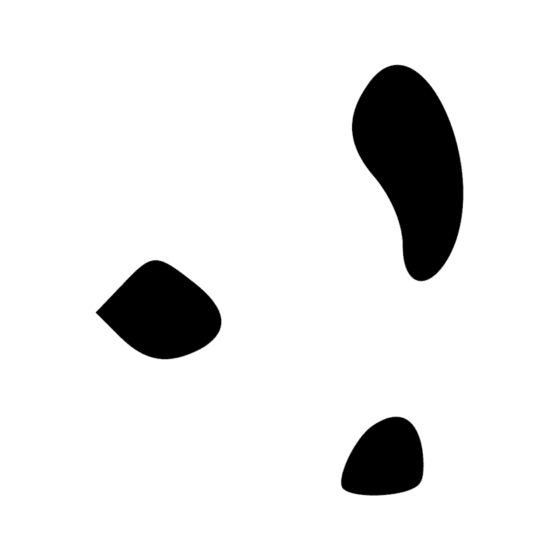 Signe n° 12237