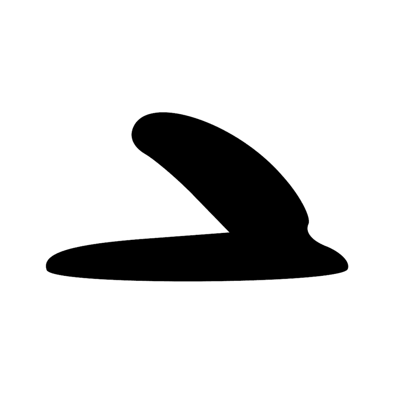 Aa13 — Côte d'animal