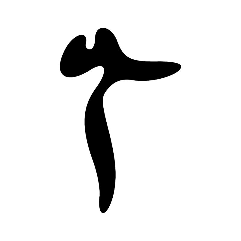 F12 — Tête et cou de canidé