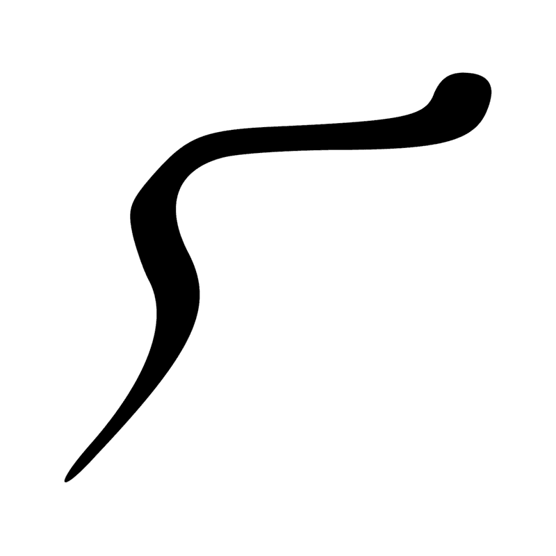 F20 — Langue de bovin