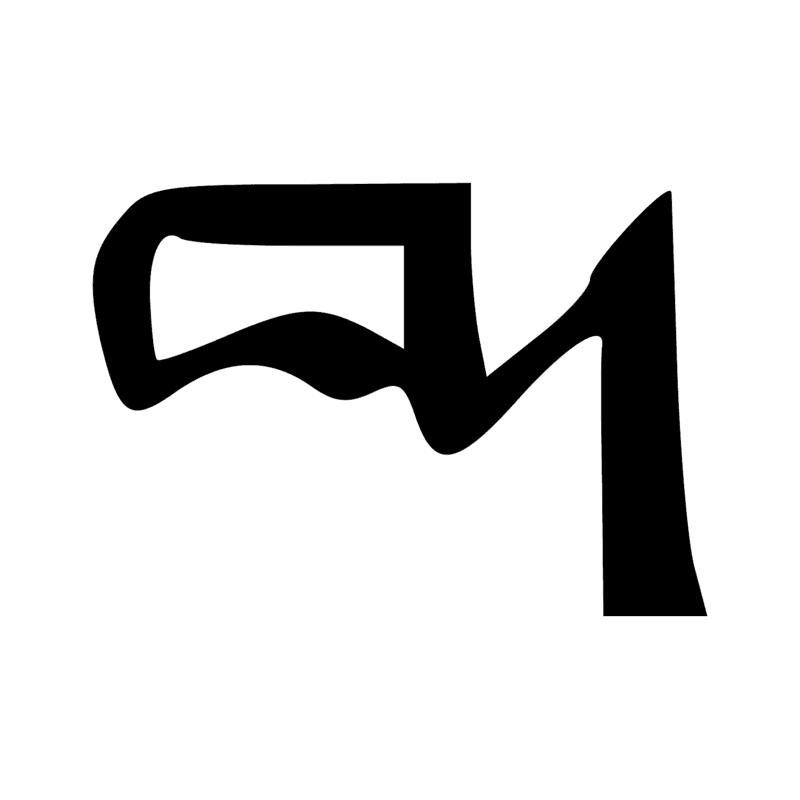 F23 — Membre antérieur de bovin