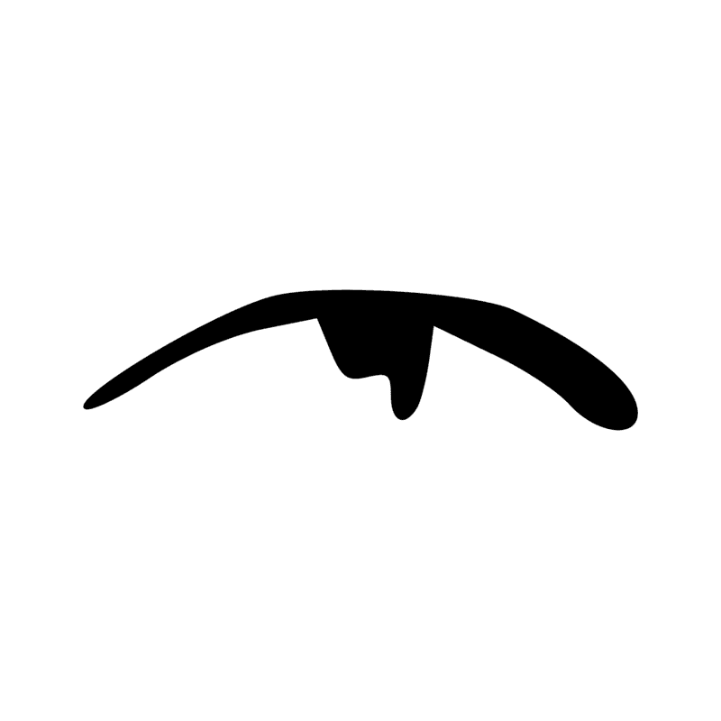 F42 — Côte