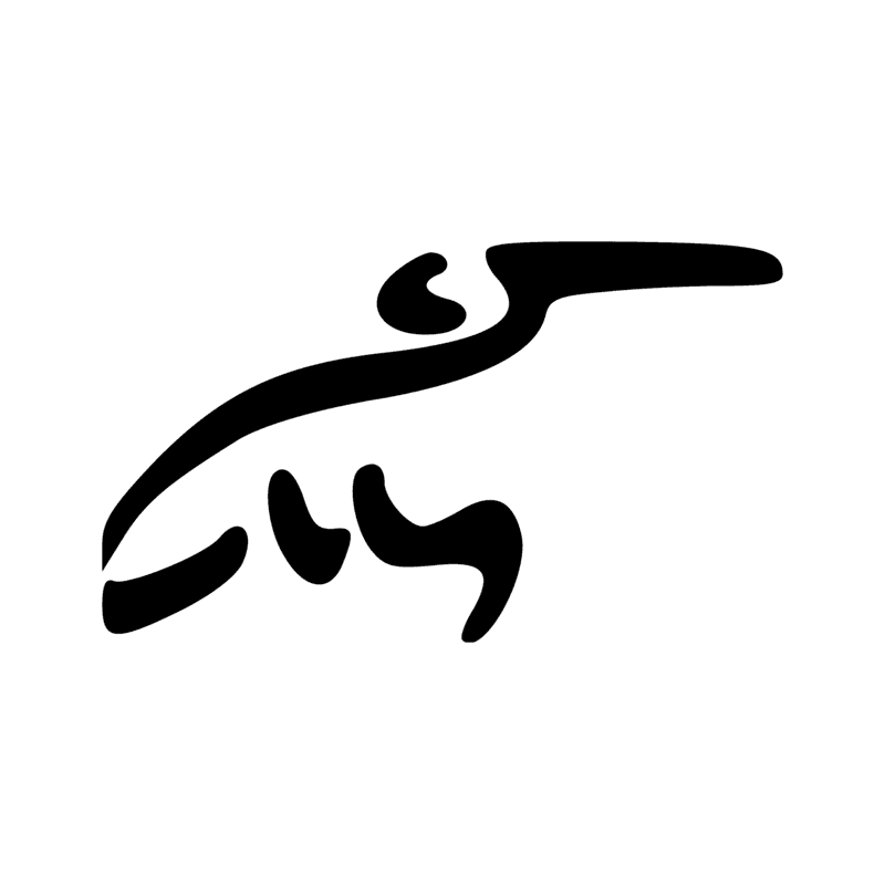 G25 — Ibis à crête