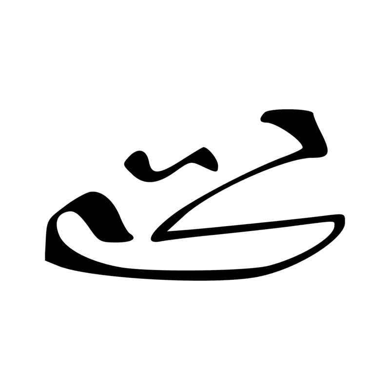 G40 — Canard pilet en vol