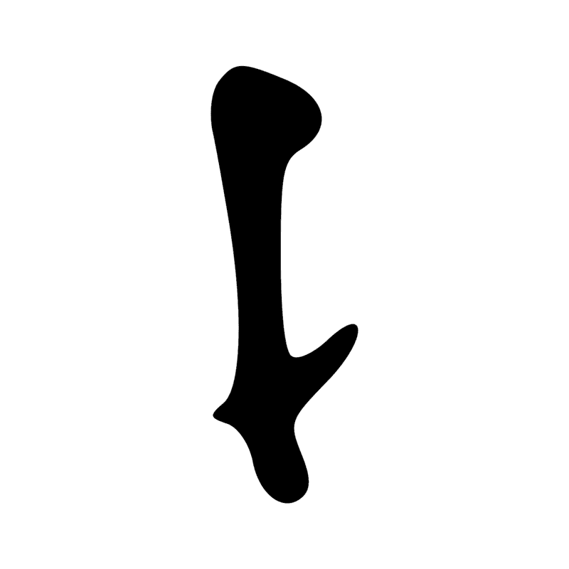 Signe n° 21