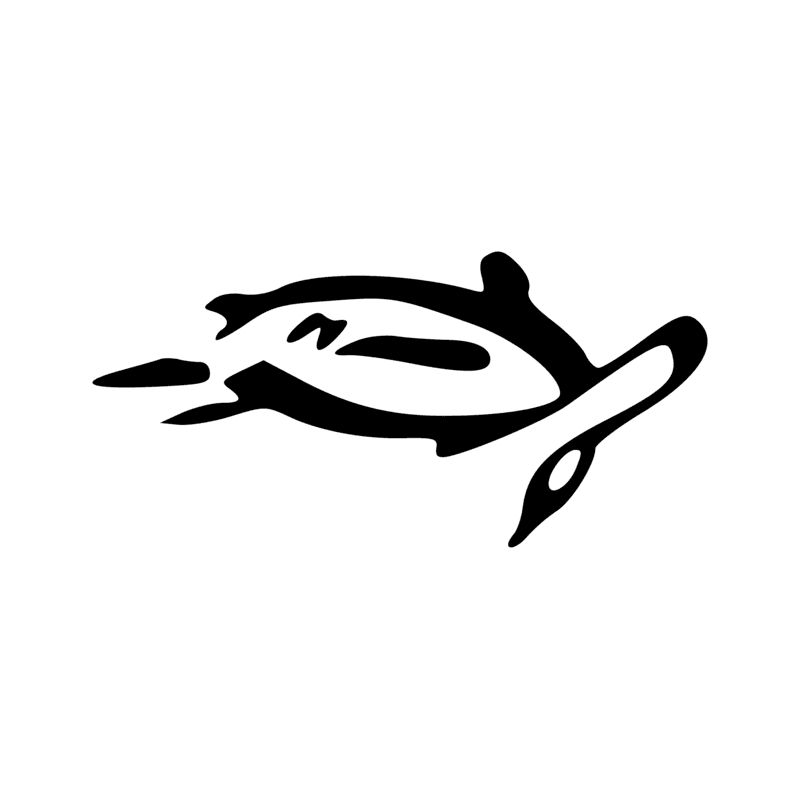 G54 — Oie troussée