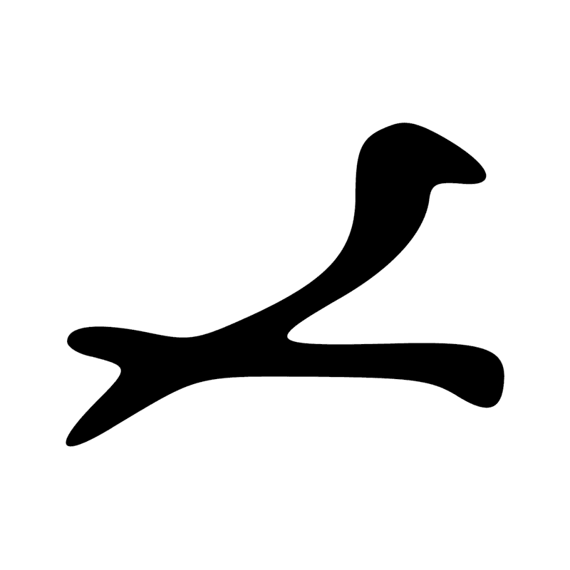 G39 — Canard pilet