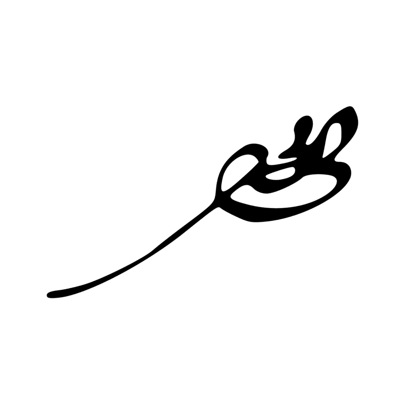 Signe n° 2170