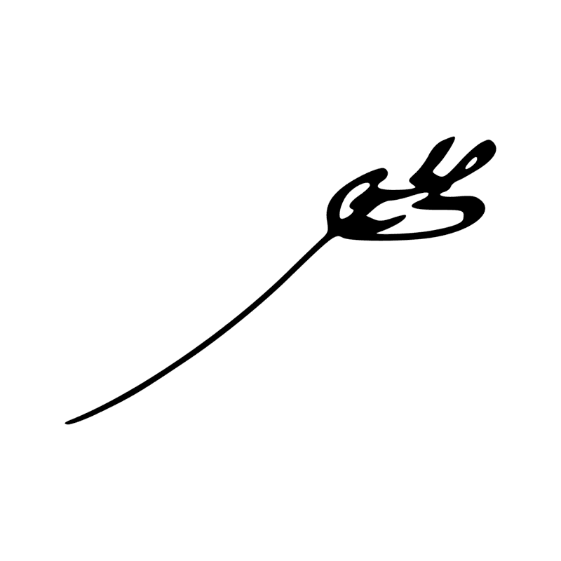 Signe n° 2172