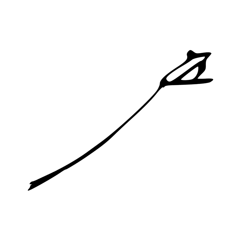I8 — Têtard