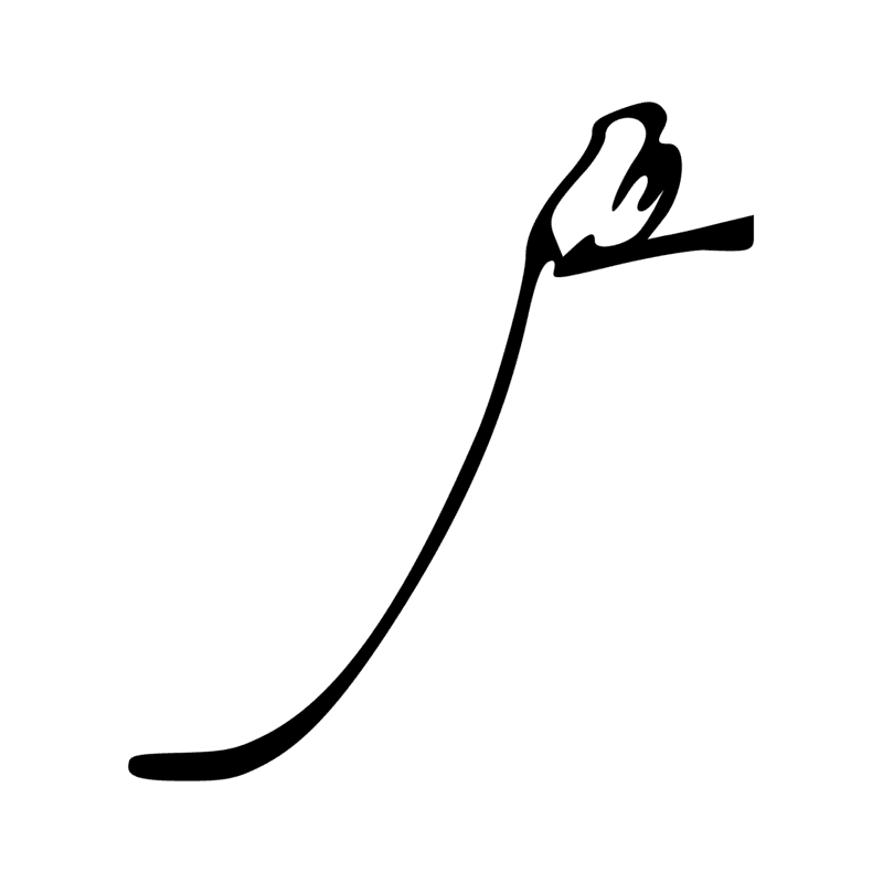 I8 — Têtard