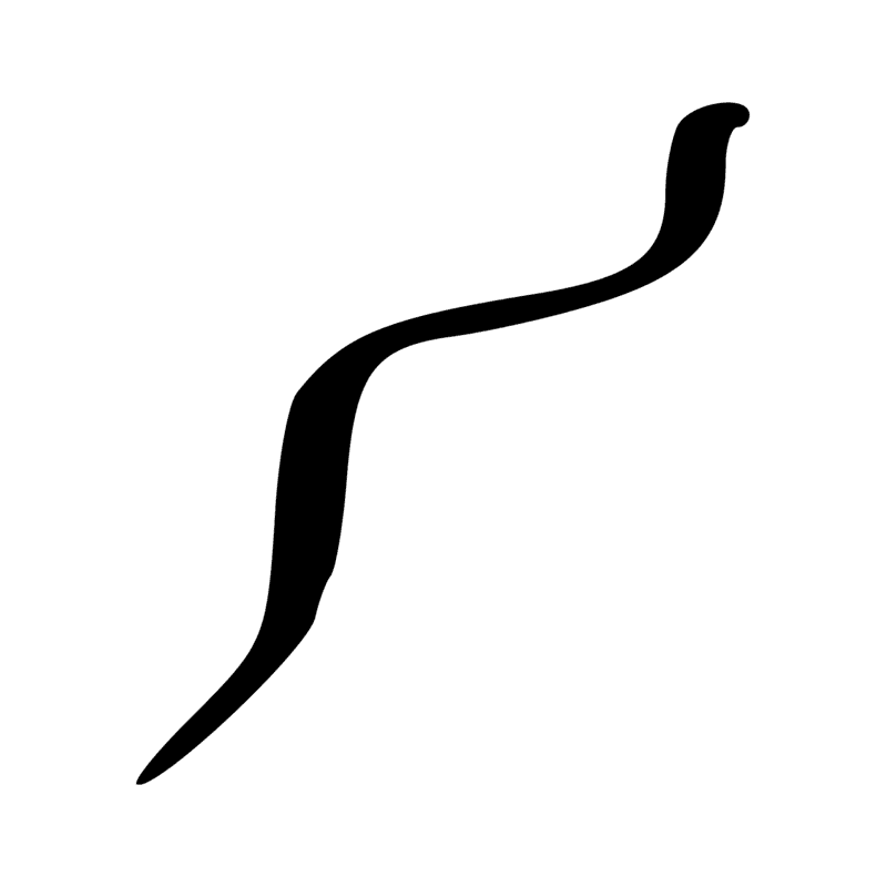 I10 — Cobra