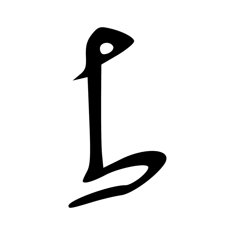 M12 — Plan de lotus