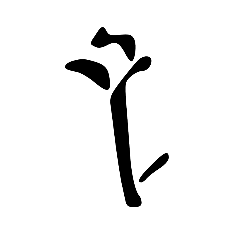 M16 — Touffe de papyrus