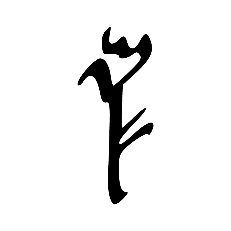 M16 — Touffe de papyrus