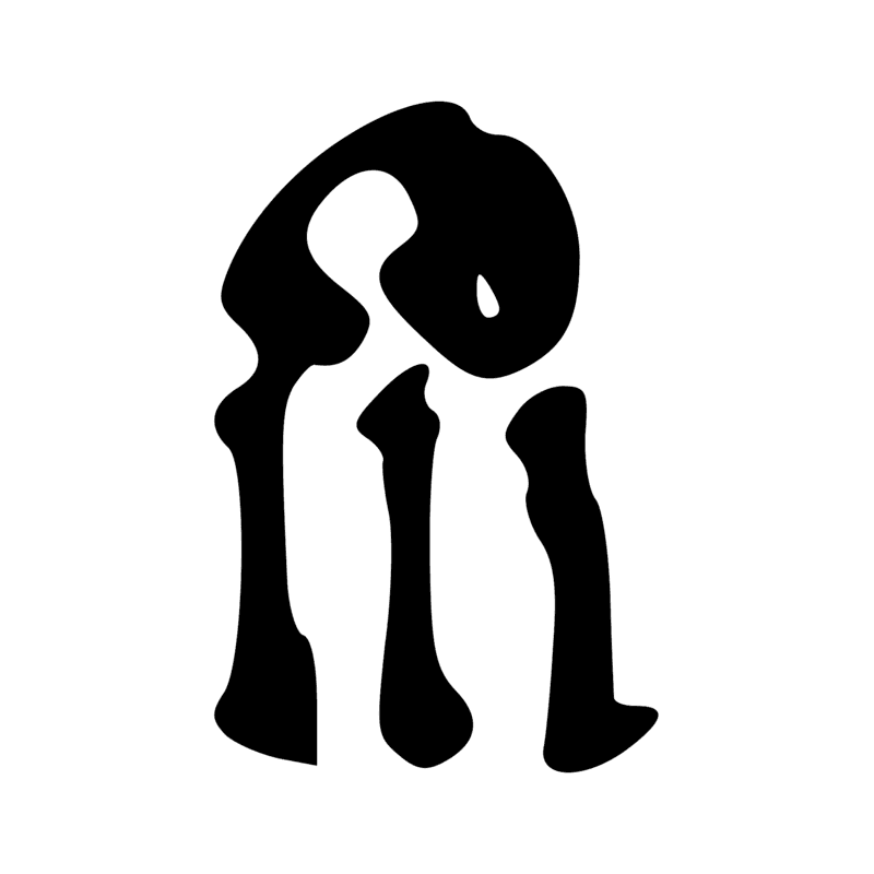 N8