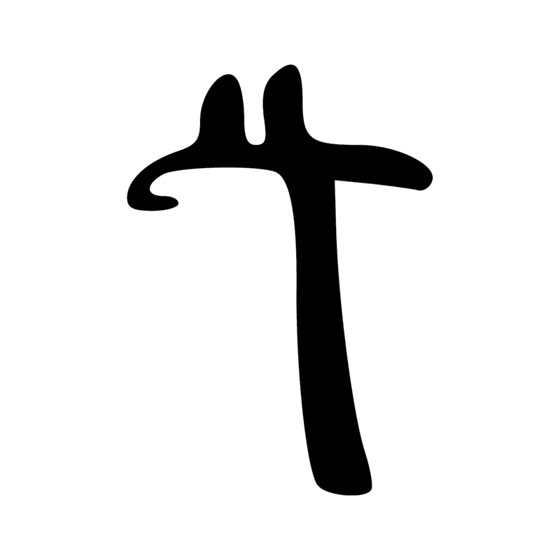 P6 — Mât
