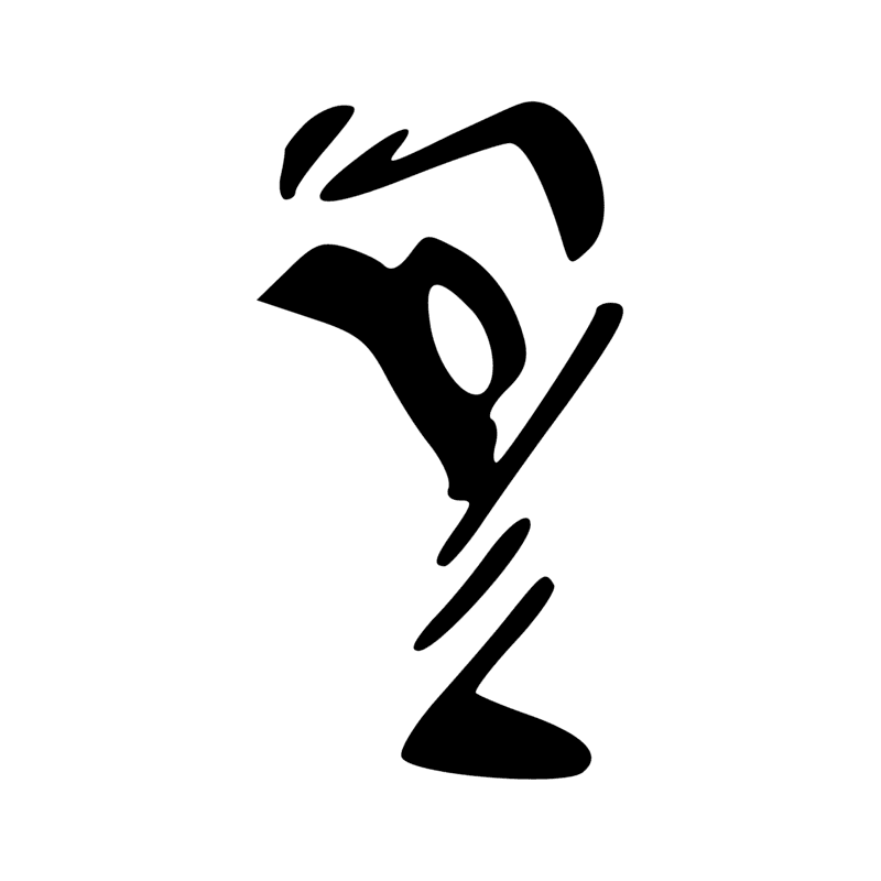 V29 — Balai de fibres