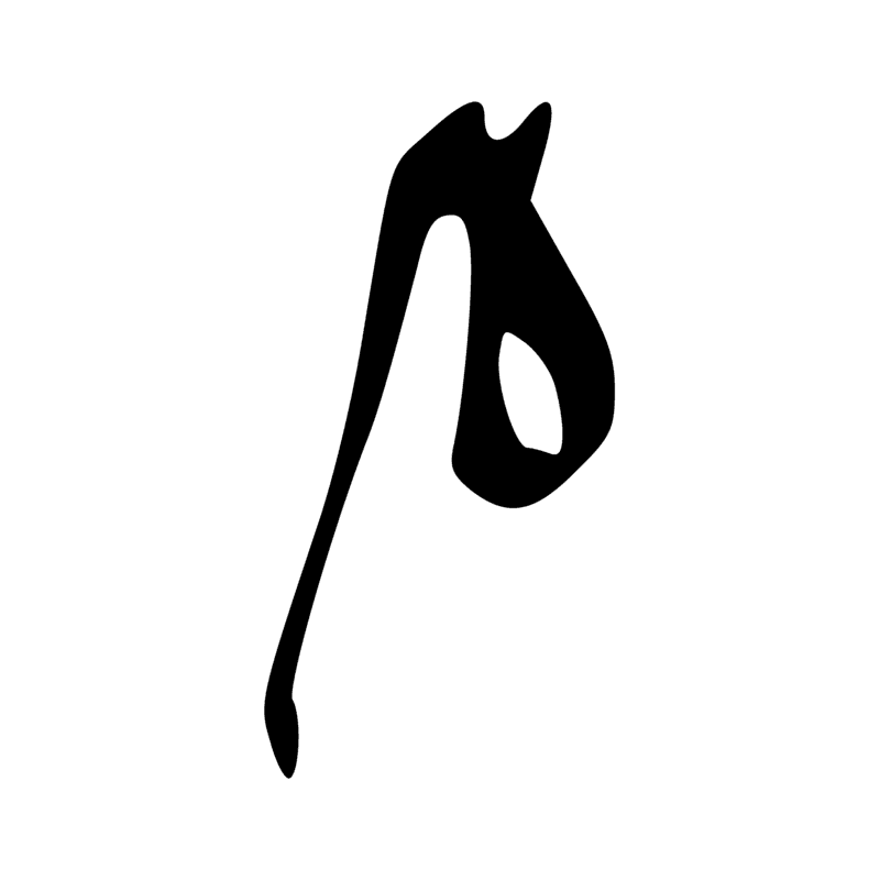 T12 — Corde d'arc