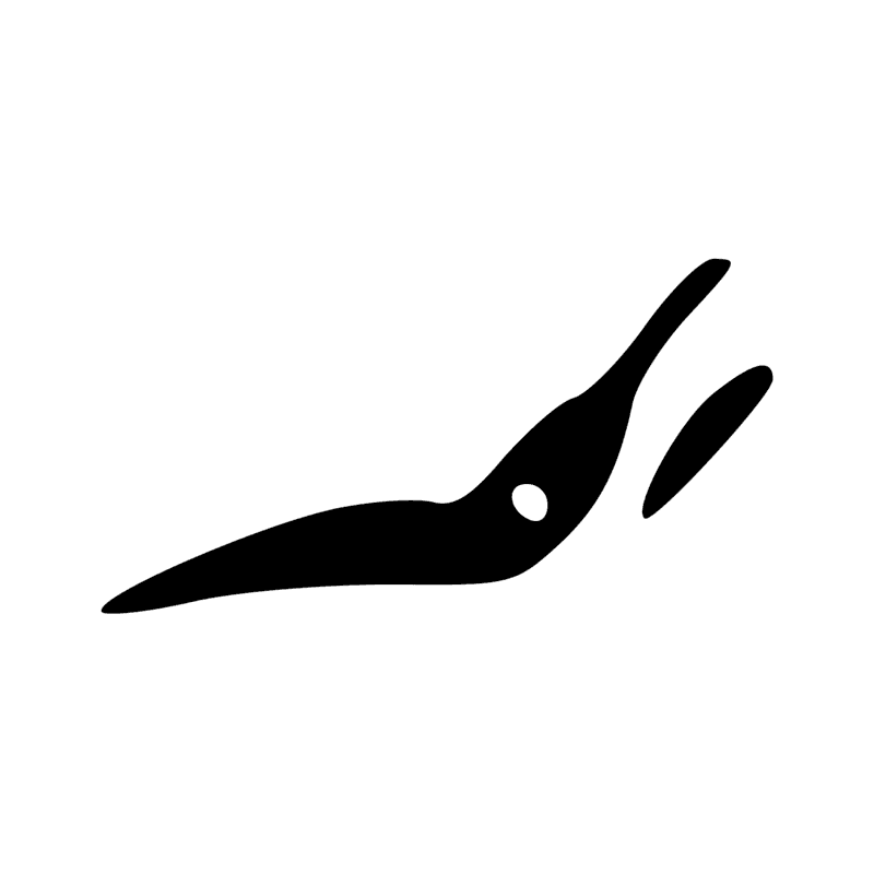 T11 — Flèche