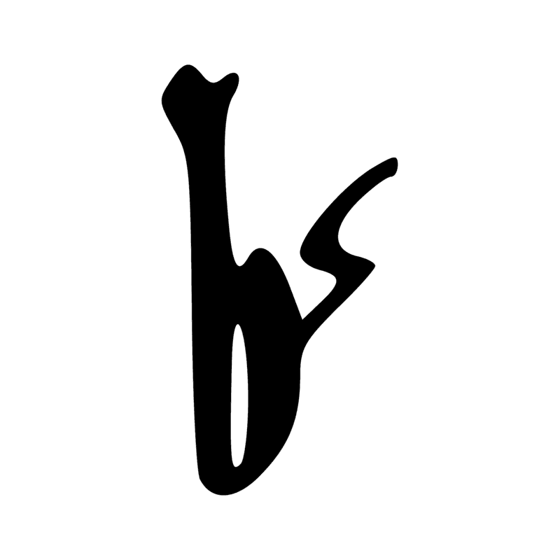 S43 — Bâton de marche